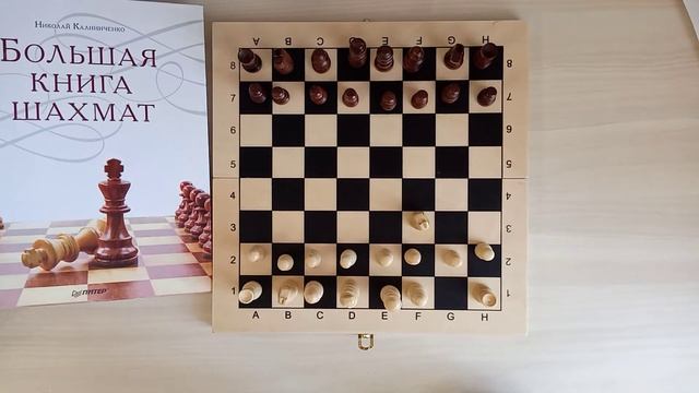Шахматы(Chess)Урок 1. Как ходят фигуры? смотреть онлайн