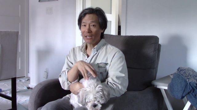Senior Old Dog Lhasa Apso Roxie Turns 18 Years! смотреть онлайн