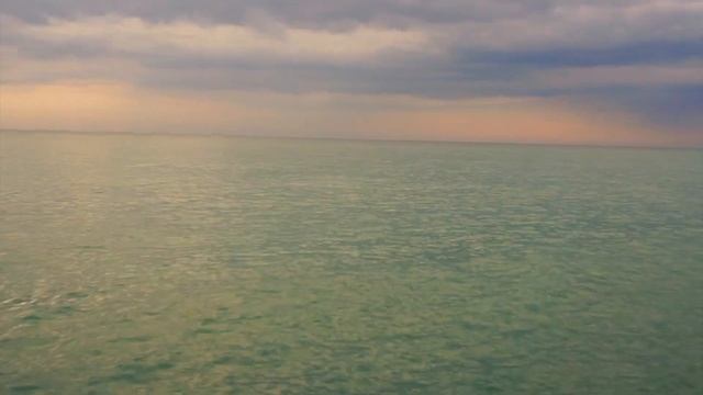 Дельфины в Черном море Лазаревское. Черное море смотреть онлайн