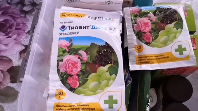 Дачная аптечка. Препараты от вредителей и болезней растений смотреть онлайн