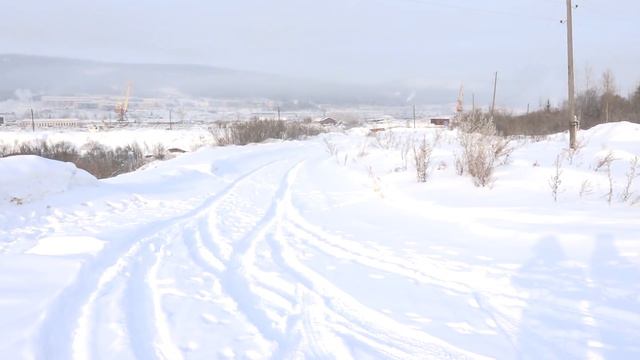 Сегодня ночью на берегу реки Лена в автомобиле найдены тела двух молодых людей смотреть онлайн