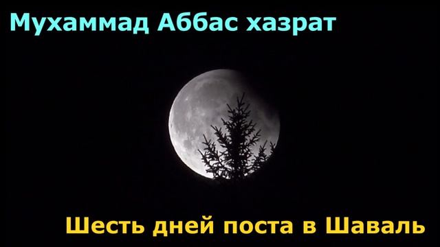 Как поститься 6 дней в месяц Шаваль?