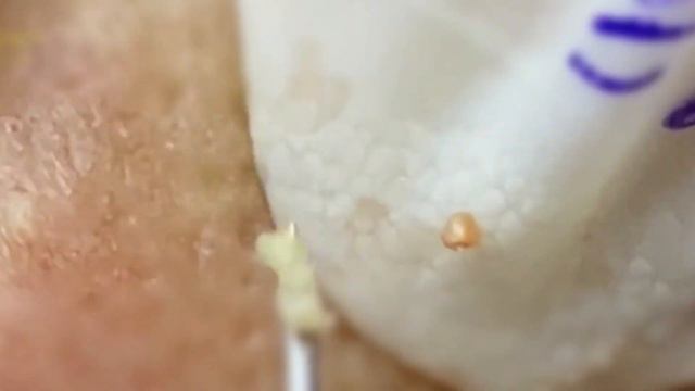Satisfying for Relaxing Every Day with Roza Spa смотреть онлайн