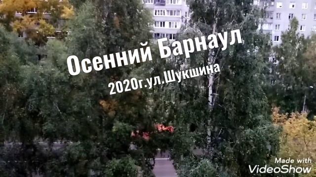 Осенний Барнаул #алтайскийшансонье22 #барнаулрулит22 @yurysvoy2020 смотреть онлайн