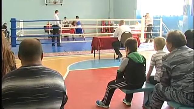 Боксерский чемпионат смотреть онлайн
