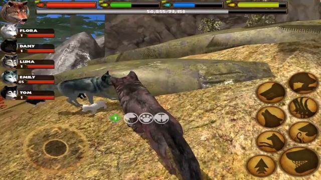Ultimate Wolf Simulator - Raise a Family - Android/iOS - Gameplay смотреть онлайн