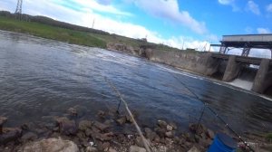 Рыбалка на паук. Удачная рыбалка