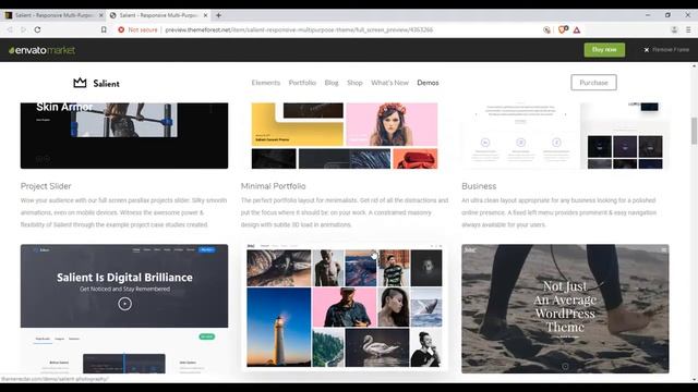 Salient Responsive Multi Purpose Theme смотреть онлайн