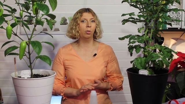 Профессиональная замена борной кислоты для подкормок растений смотреть онлайн