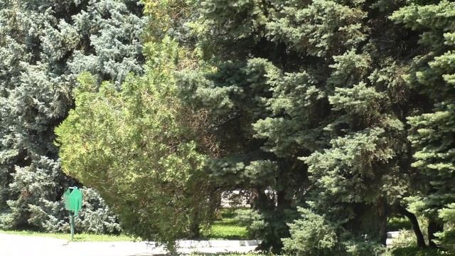 КРАСНОДАР - Кубанский Государственный Аграрный Университет смотреть онлайн