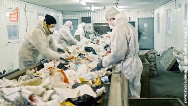 Мусорные контейнеры из мусора появятся в Подмосковье смотреть онлайн