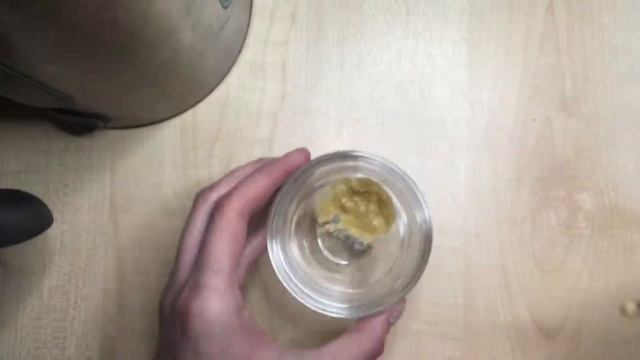 Кормление птенца амадины (13дней) смотреть онлайн