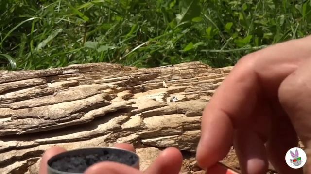 Вечное сухое горючее смотреть онлайн