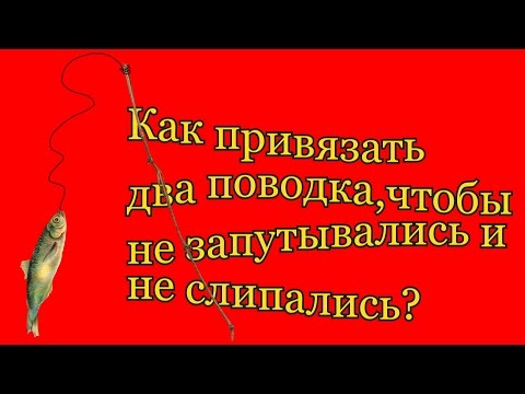 Как привязать два поводка на удочке ,чтобы не запутывались и не слипались