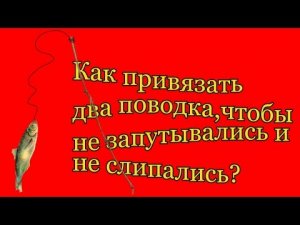 Как привязать два поводка на удочке ,чтобы не запутывались и не слипались
