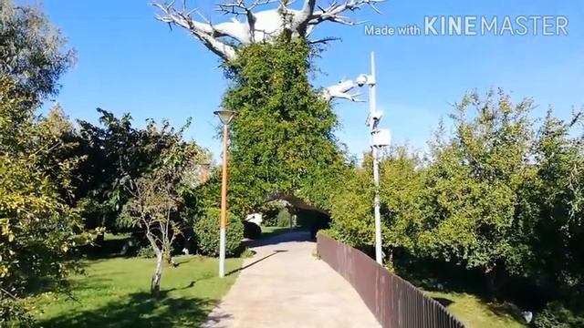 Сочи Парк 23.10.2020. Хеллоуин. День рождения бабы Яги. смотреть онлайн