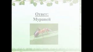 Презентация - викторина «Земля – наш общий дом»