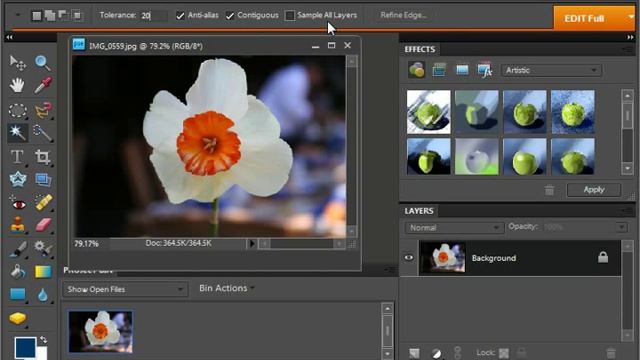 Photoshop Elements 9.0 Tutorial The Magic Wand Tool Adobe Training Lesson 8.5 смотреть онлайн