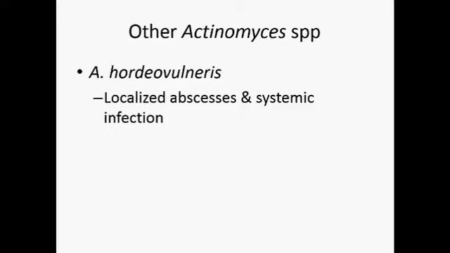 Actinobacillus in cattle sheep and pig... смотреть онлайн