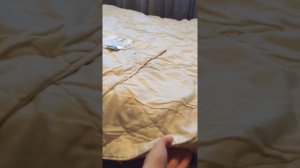 Выбираем одеяло. Бамбуковое волокно или овечья шерсть. #Бамбуковое одеяло