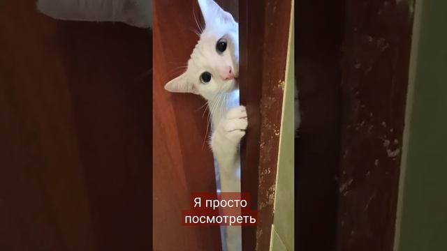 всё надо знать смотреть онлайн