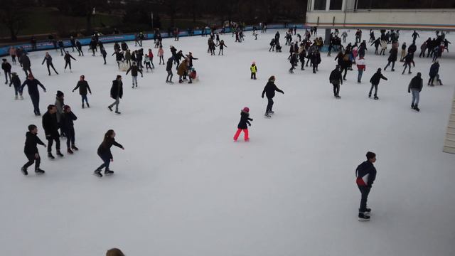 Парк в Гамбурге: Растения и цветы смотреть онлайн