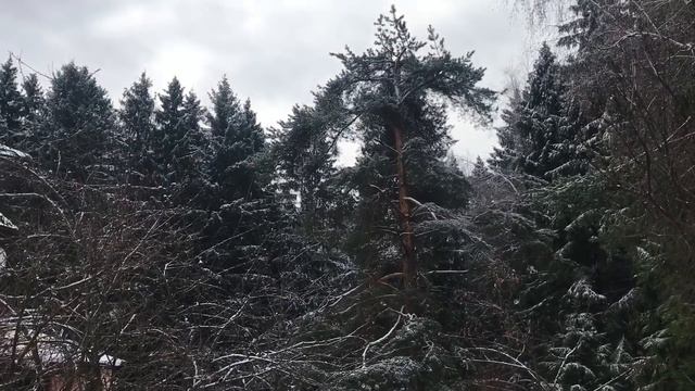 Дача / гости / мама вернулась из Испании/ снегопад смотреть онлайн