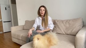 Померанский шпиц. Уход за померанским шпицем. Алопеция у шпица.