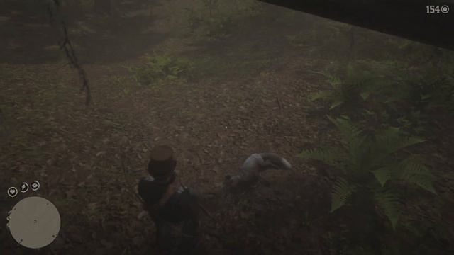 Red Dead Redemption 2: Panther Jagd 🐆 #71 смотреть онлайн