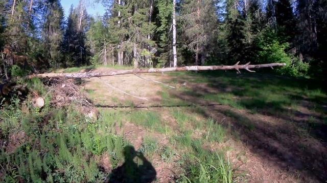 Последняя рыбалка в нерестовый запрет.