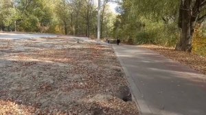 И никто не узнает, где могилка твоя. 11.06.2021