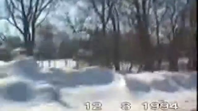 Зимняя старая дорога до Погоста Любцев 1994 год