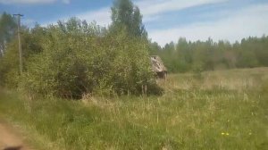 Брошенные деревни,Федеево,новгородская область.