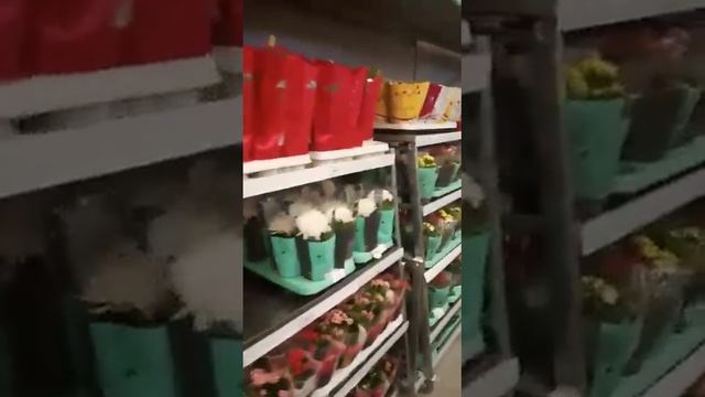 леруа мерлен хабаровск цветы смотреть онлайн