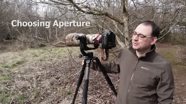 How to Photograph Small Birds: Camera Settings & Techniques (Advanced) смотреть онлайн