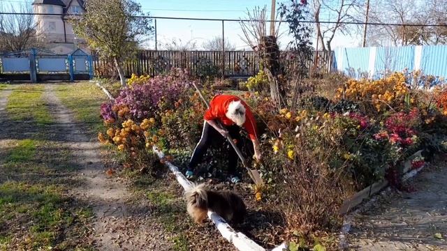 ЖИЗНЬ В СЕЛЕ! УТРО НАЧАЛОСЬ С КОФЕ, НО ПОТОМ...!