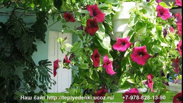 Крым отдых частный сектор отзывы Отзывы об отдыхе в Крыму в частном секторе Николаевки смотреть онлайн