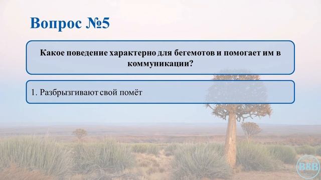 Тест про животных Африки. Бегемоты / Интересные факты о бегемотах смотреть онлайн