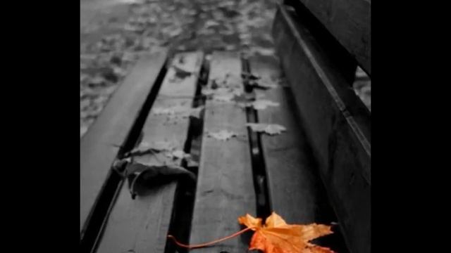 И Бунин Осыпаются астры... смотреть онлайн