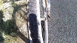 Полуслики - Слики