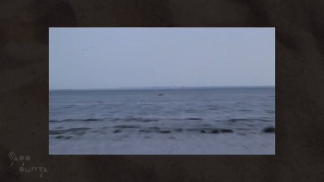 Поездка в Комарово смотреть онлайн