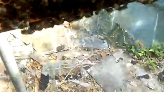 Результат изоляции матки в Нуклеусе Джинн ч.3 смотреть онлайн