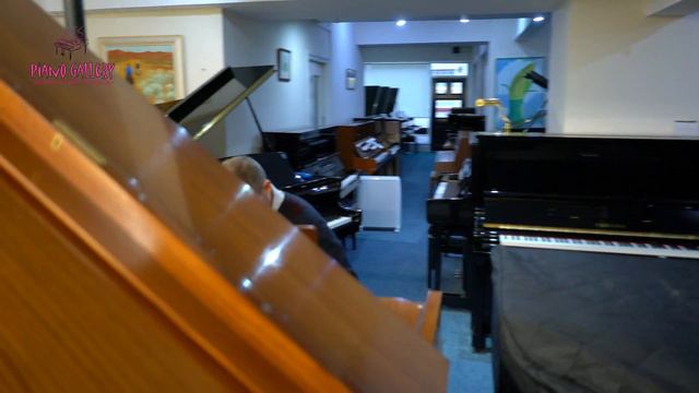 Bechstein Grand Piano - Beethoven Fur Elise смотреть онлайн