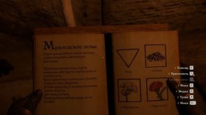 Kingdom Come: Deliverance #80 - Мор (полное прохождение игры)