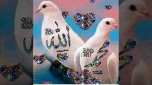 Мавлид на аварском Альхамду