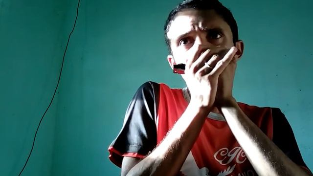 Howlin' Harp Blues harmonica by Stagg смотреть онлайн