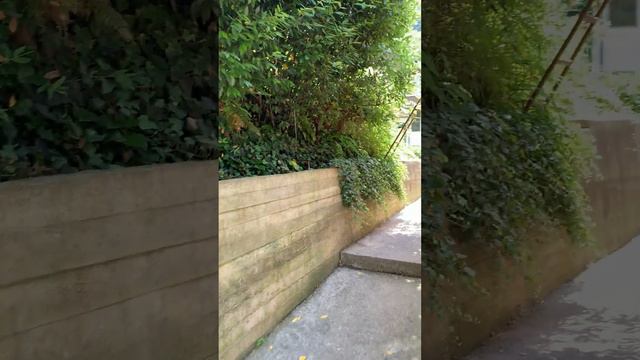 п. Чемитоквадже, ул. Магистральная 27 (Часть 1) смотреть онлайн