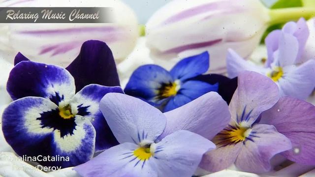 Хорошая Успокаивающая Музыка для Души: Музыка для Релаксации, Медитации и Сна