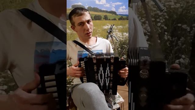 Тальянка после реставрации мастером Шайдуллиным Рашит Абый. смотреть онлайн