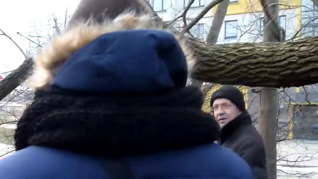 Ещё один домик для кошек в Болдерае